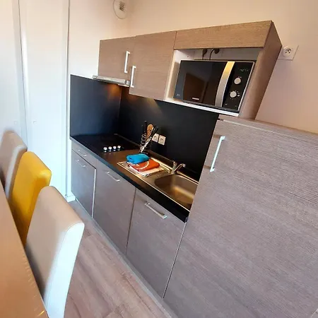 Superbe Duplex A Biscarrosse Plage Avec Piscine, Parking Prive Et Ocean A Pied Lejlighed Biscarrosse