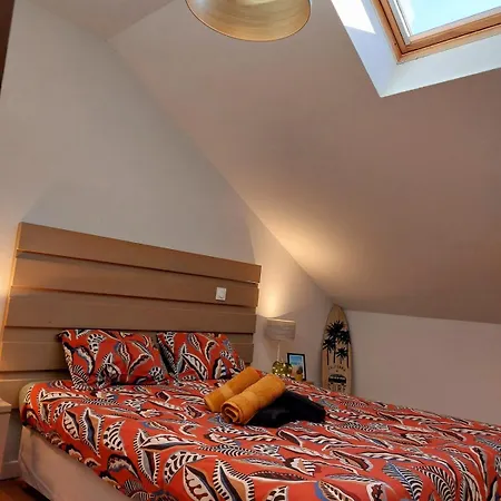 Superbe Duplex A Avec Piscine, Parking Prive Et Ocean A Pied * Biscarrosse