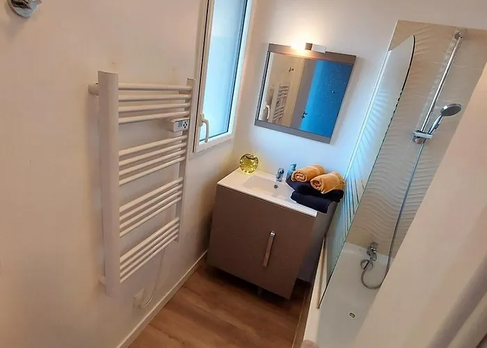 50m Piscine Parking Duplex Cosy 6 Pers Biscarrosse