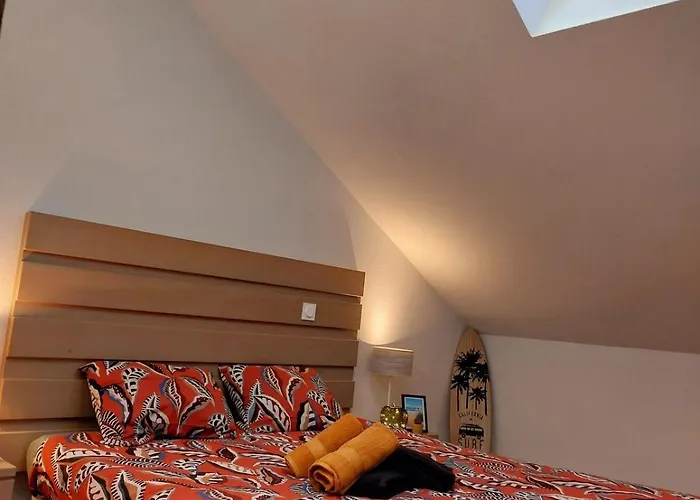 50m Piscine Parking Duplex Cosy 6 Pers * Biscarrosse