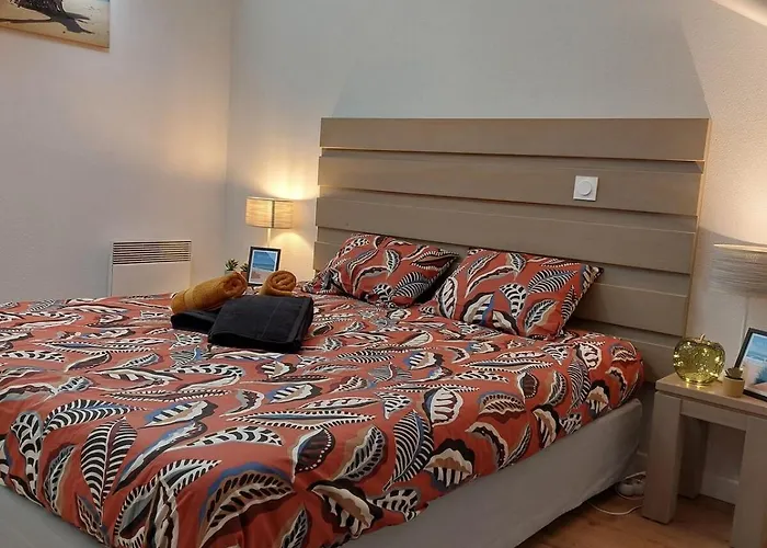 50m Piscine Parking Duplex Cosy 6 Pers *